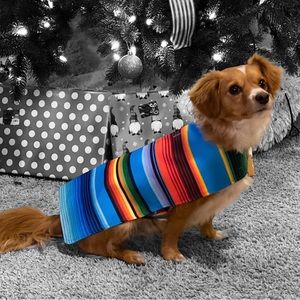 Mexican Serape Poncho for Dog
